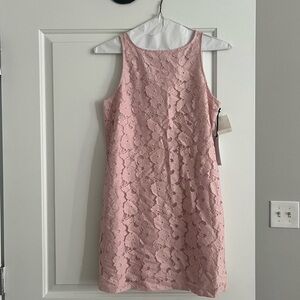 BB Dakota Blush Pink Lace Mini Dress